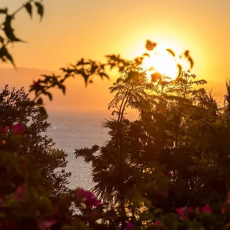 Ionian Garden - Sol Villa Benitses (Corfu)