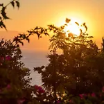 Ionian Garden - Sol Villa Mpenitses